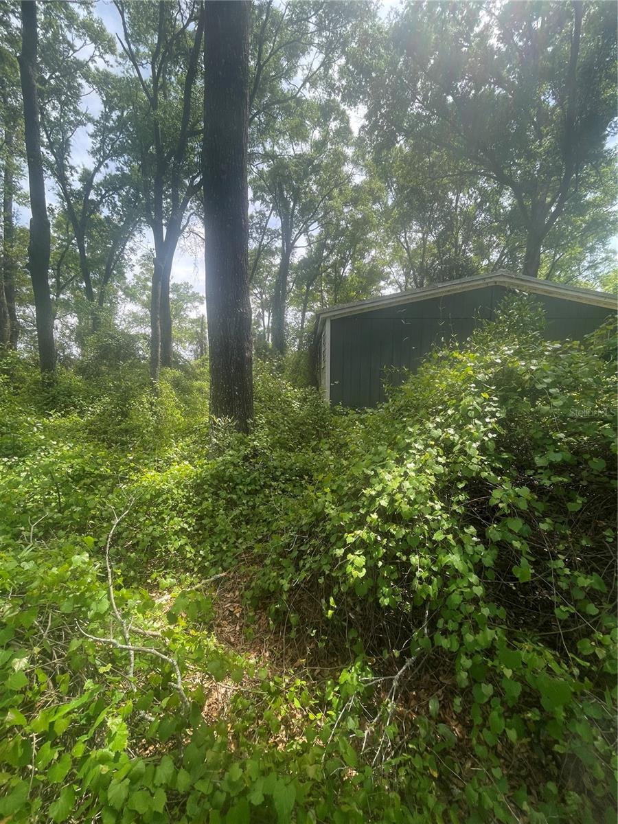 Image 25 of 35 For 7157 120th Street