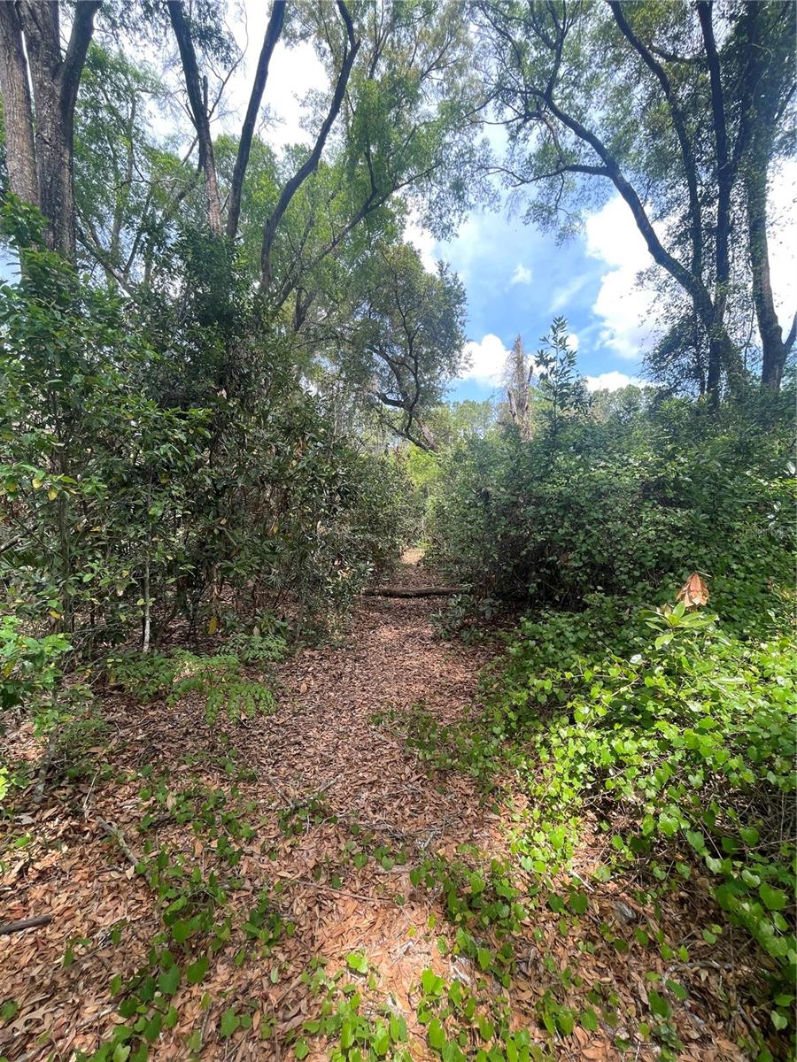 Image 26 of 35 For 7157 120th Street