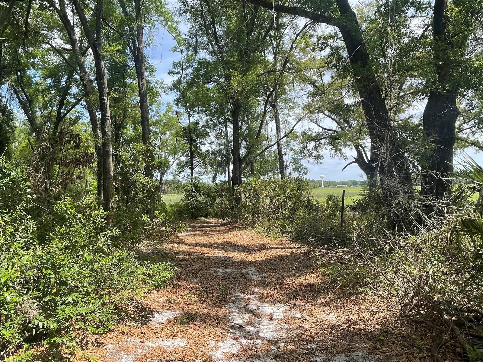 Image 28 of 35 For 7157 120th Street