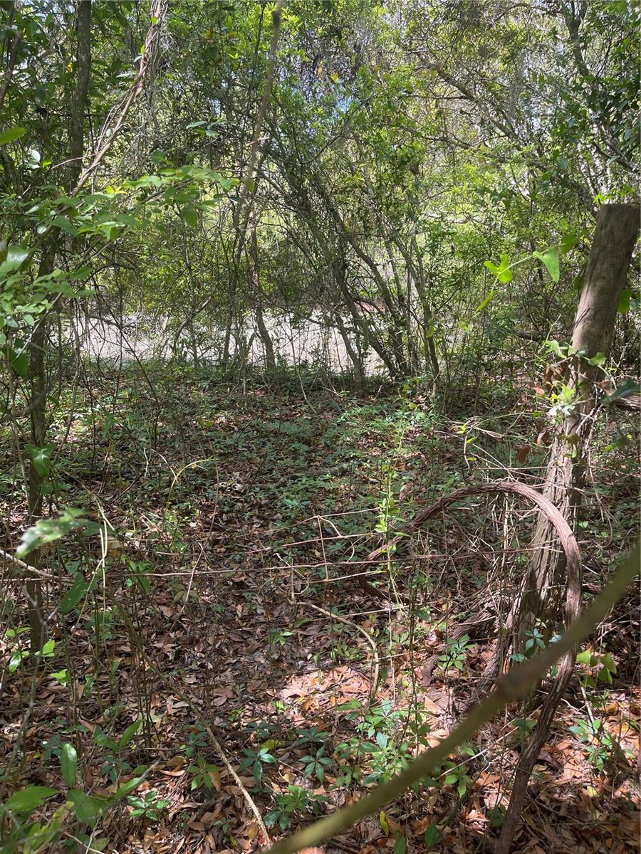 Image 29 of 35 For 7157 120th Street