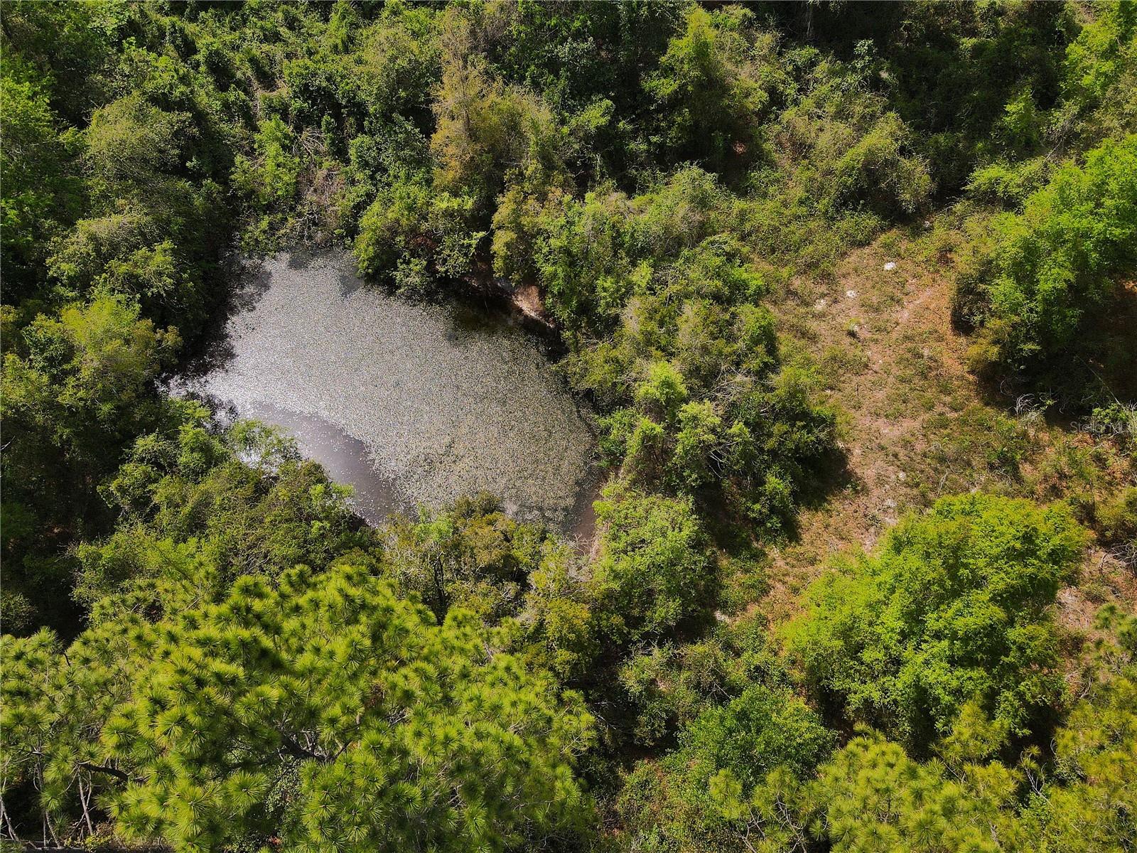 Image 3 of 35 For 7157 120th Street