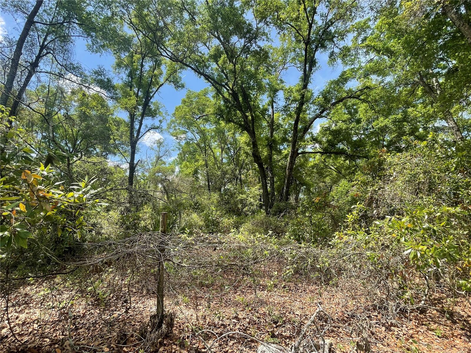 Image 31 of 35 For 7157 120th Street