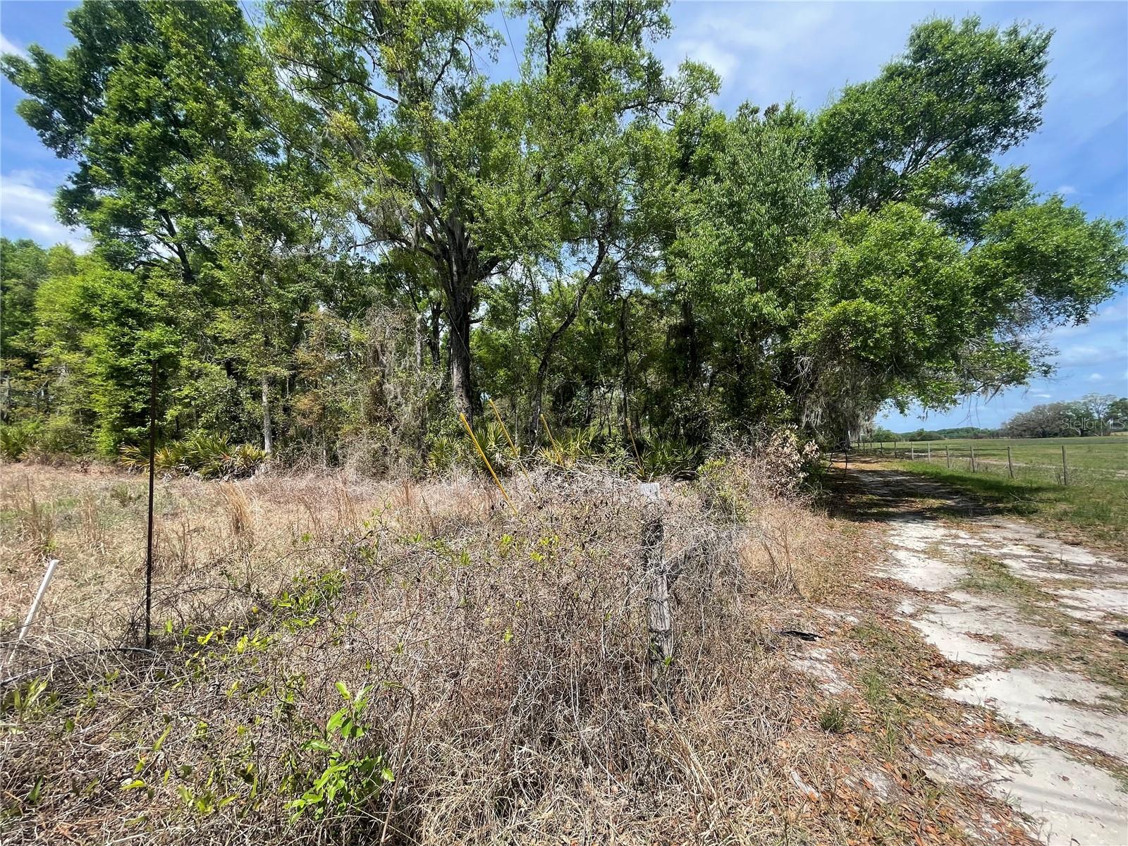 Image 33 of 35 For 7157 120th Street