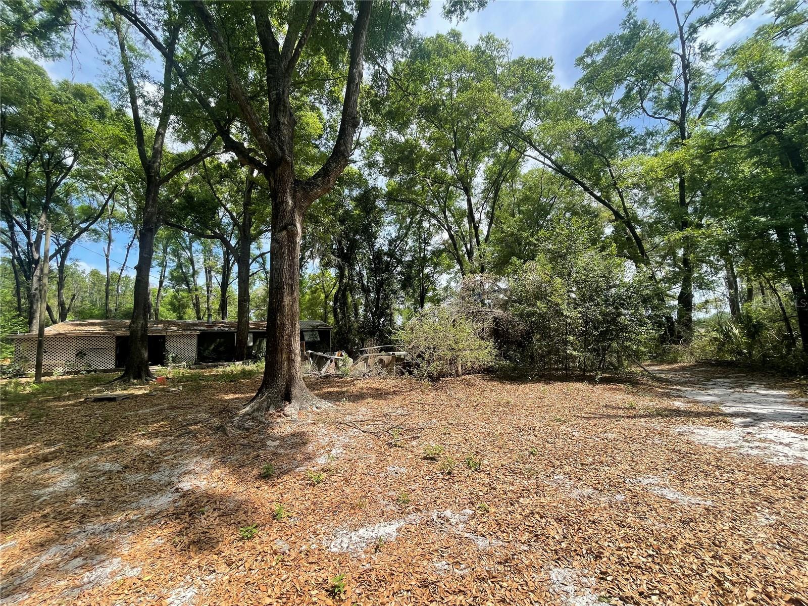 Image 6 of 35 For 7157 120th Street