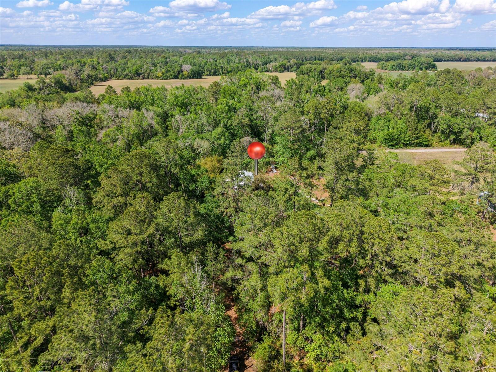 Image 20 of 22 For 7324 152 Place