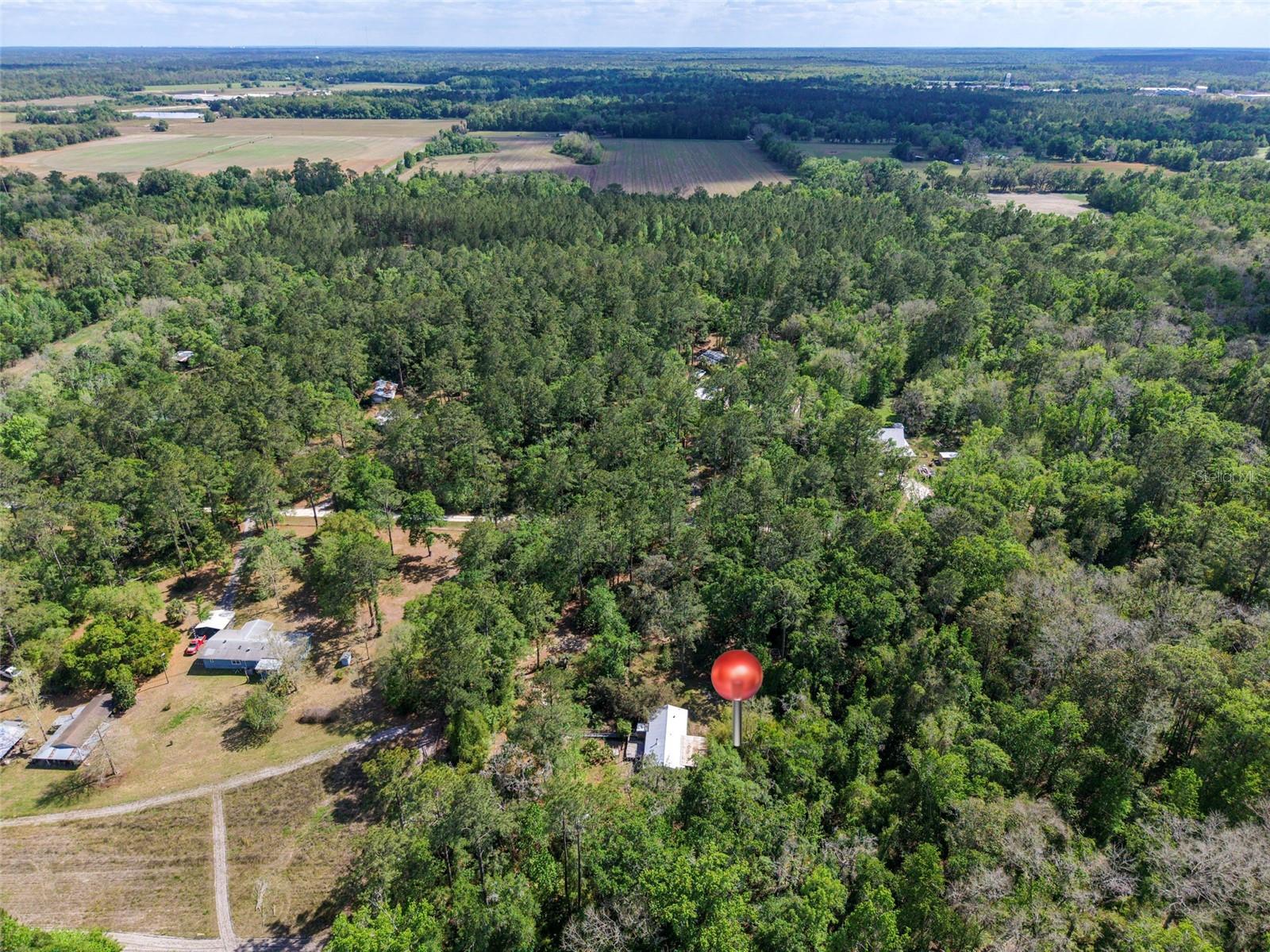 Image 21 of 22 For 7324 152 Place