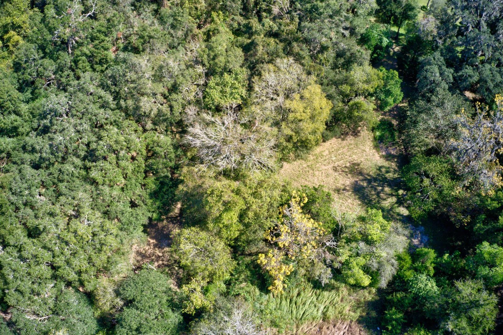 Image 10 of 11 For 5005 63rd Boulevard