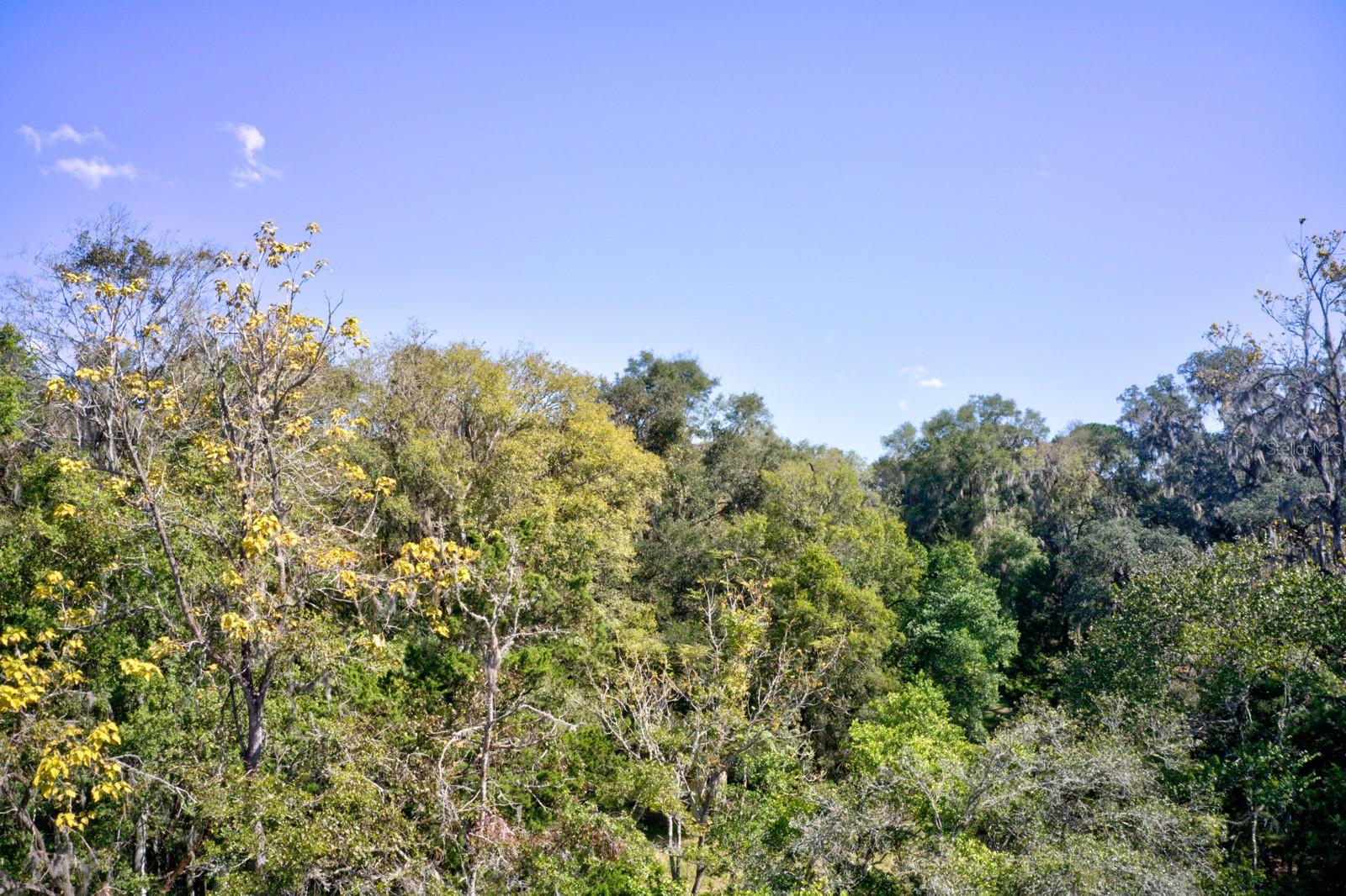 Image 11 of 11 For 5005 63rd Boulevard