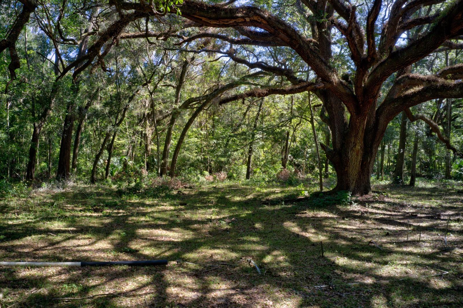 Image 2 of 11 For 5005 63rd Boulevard