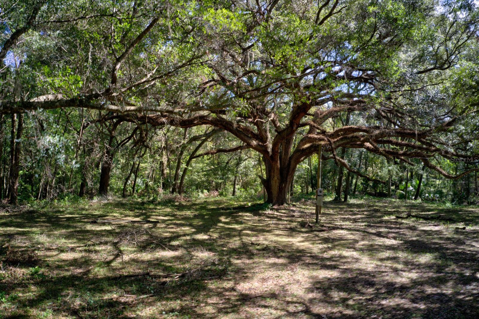 Image 3 of 11 For 5005 63rd Boulevard