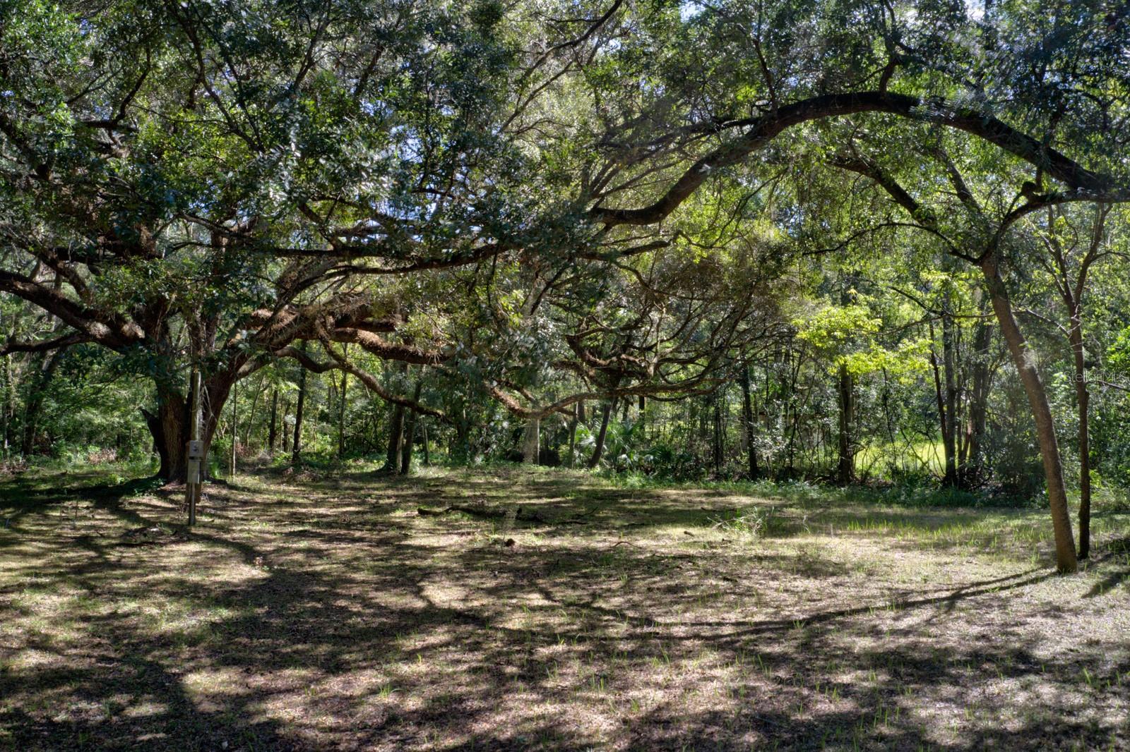 Image 4 of 11 For 5005 63rd Boulevard