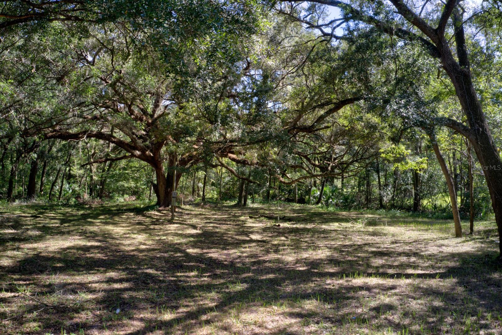 Image 5 of 11 For 5005 63rd Boulevard