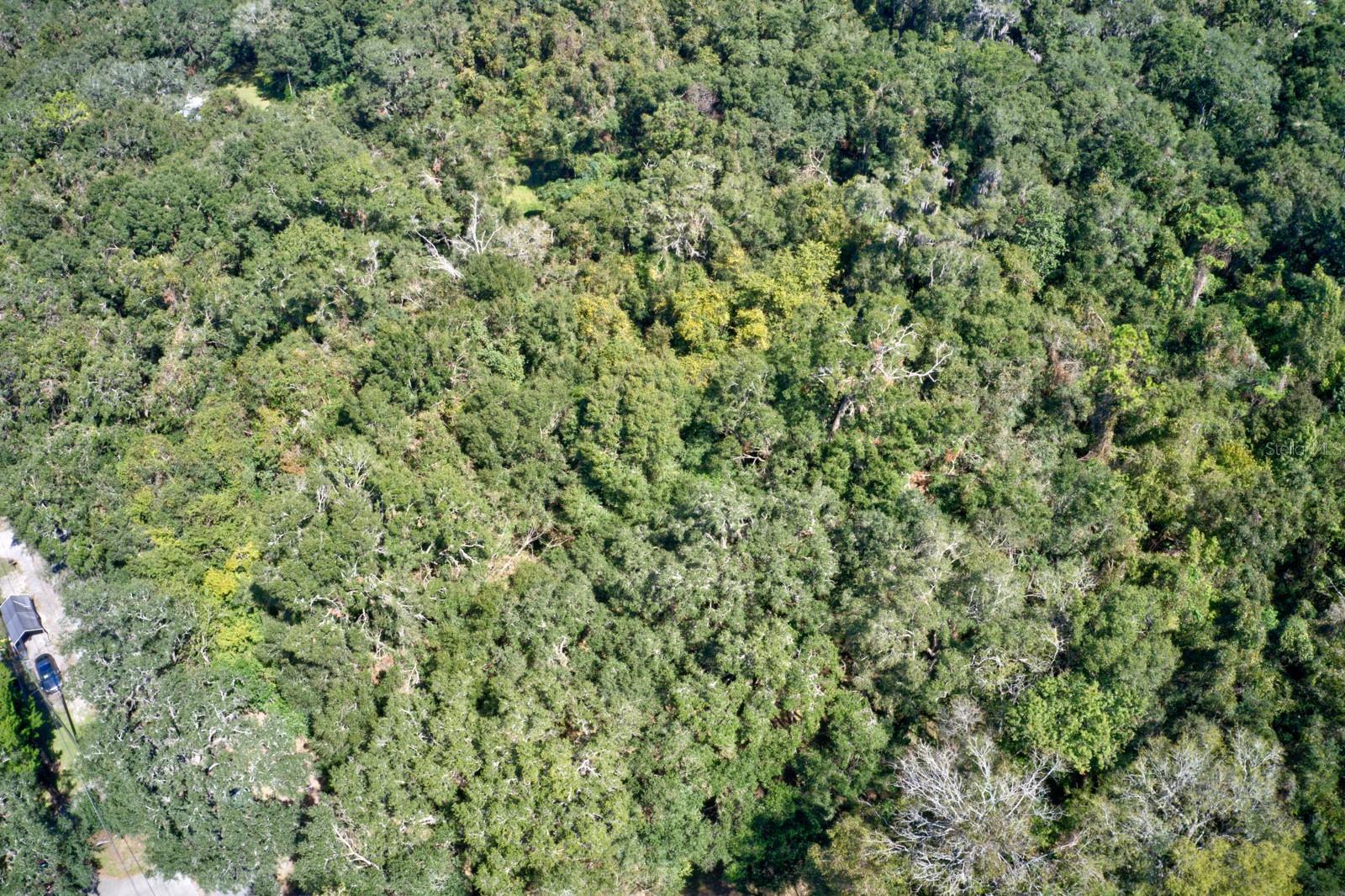 Image 7 of 11 For 5005 63rd Boulevard