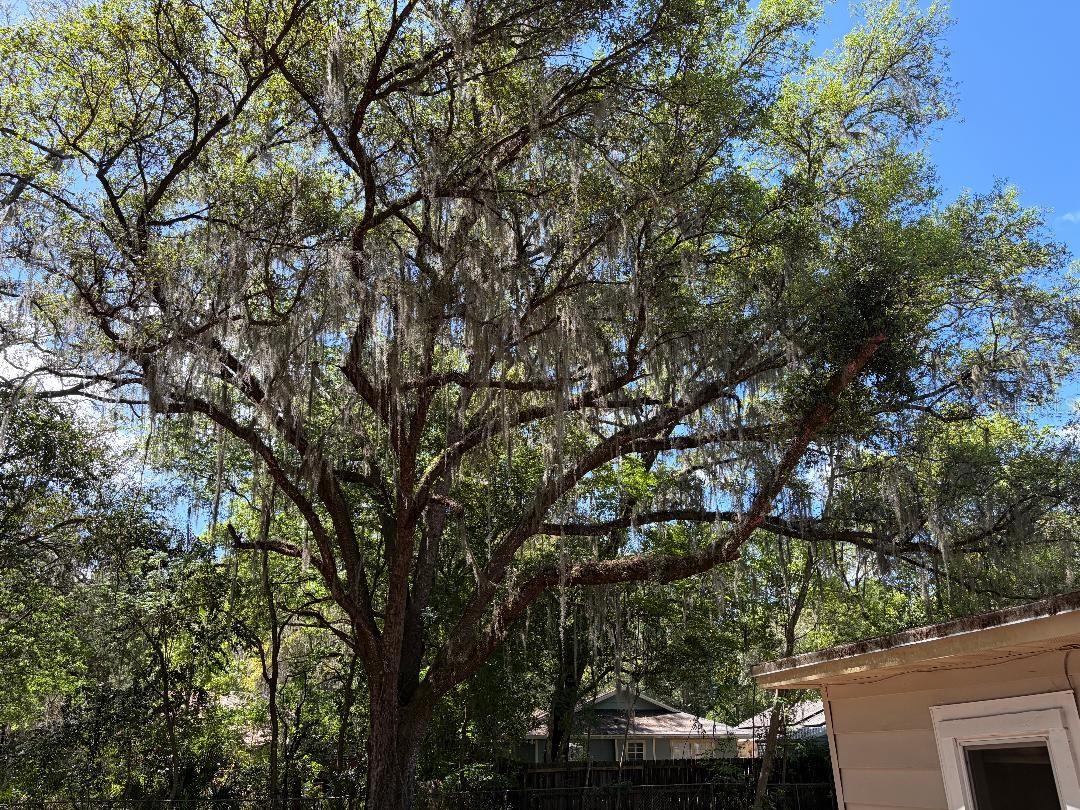 Image 6 of 17 For 1623 3rd Avenue