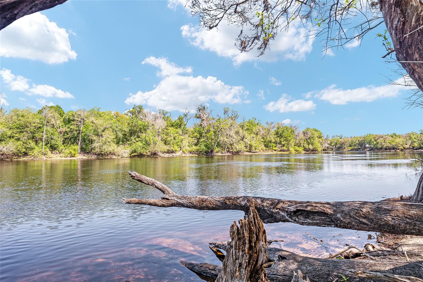 Image 46 of 93 For 7870 25th Place