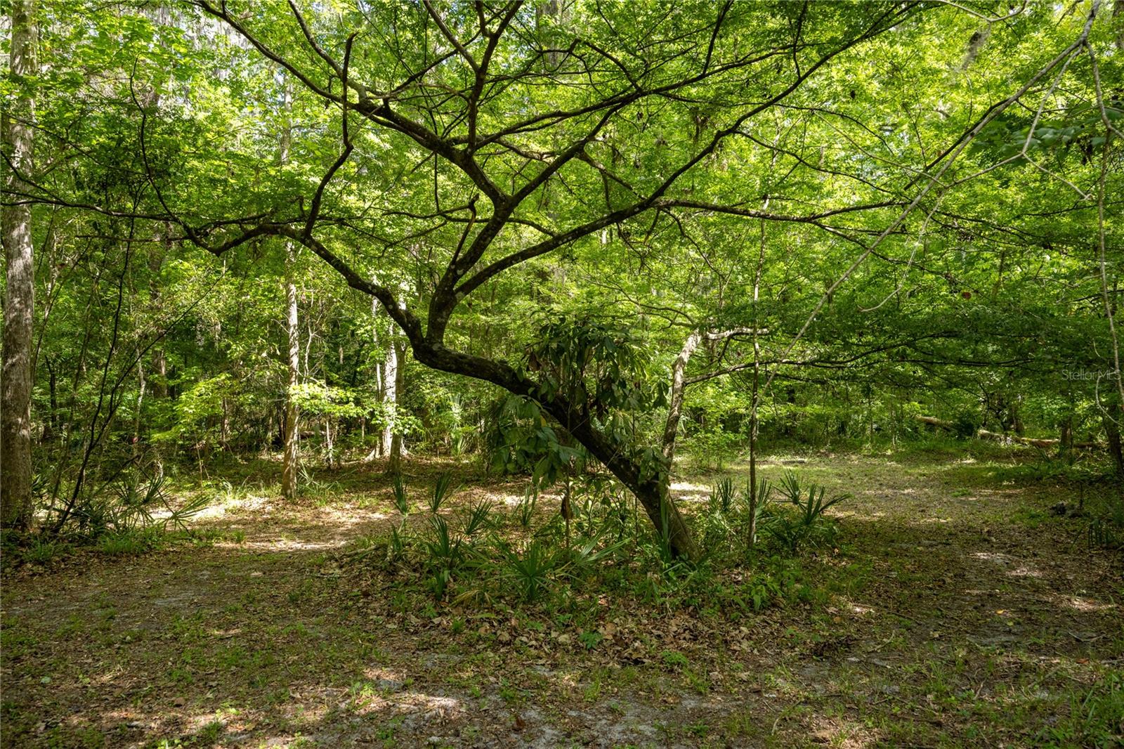 Image 54 of 68 For 3519 30th Boulevard