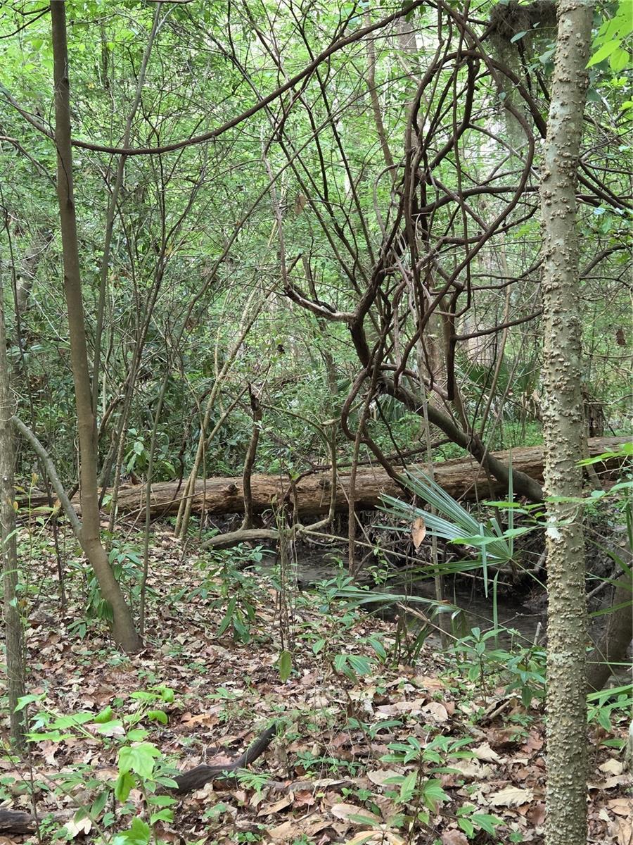 Image 55 of 68 For 3519 30th Boulevard