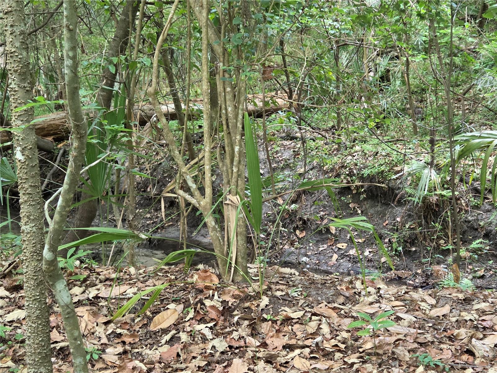 Image 56 of 68 For 3519 30th Boulevard