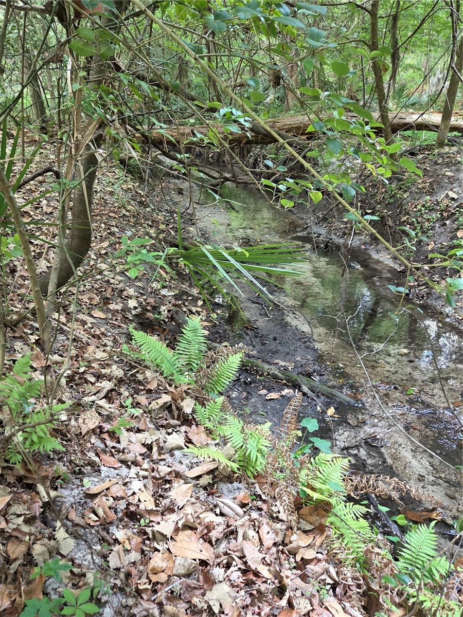 Image 7 of 68 For 3519 30th Boulevard