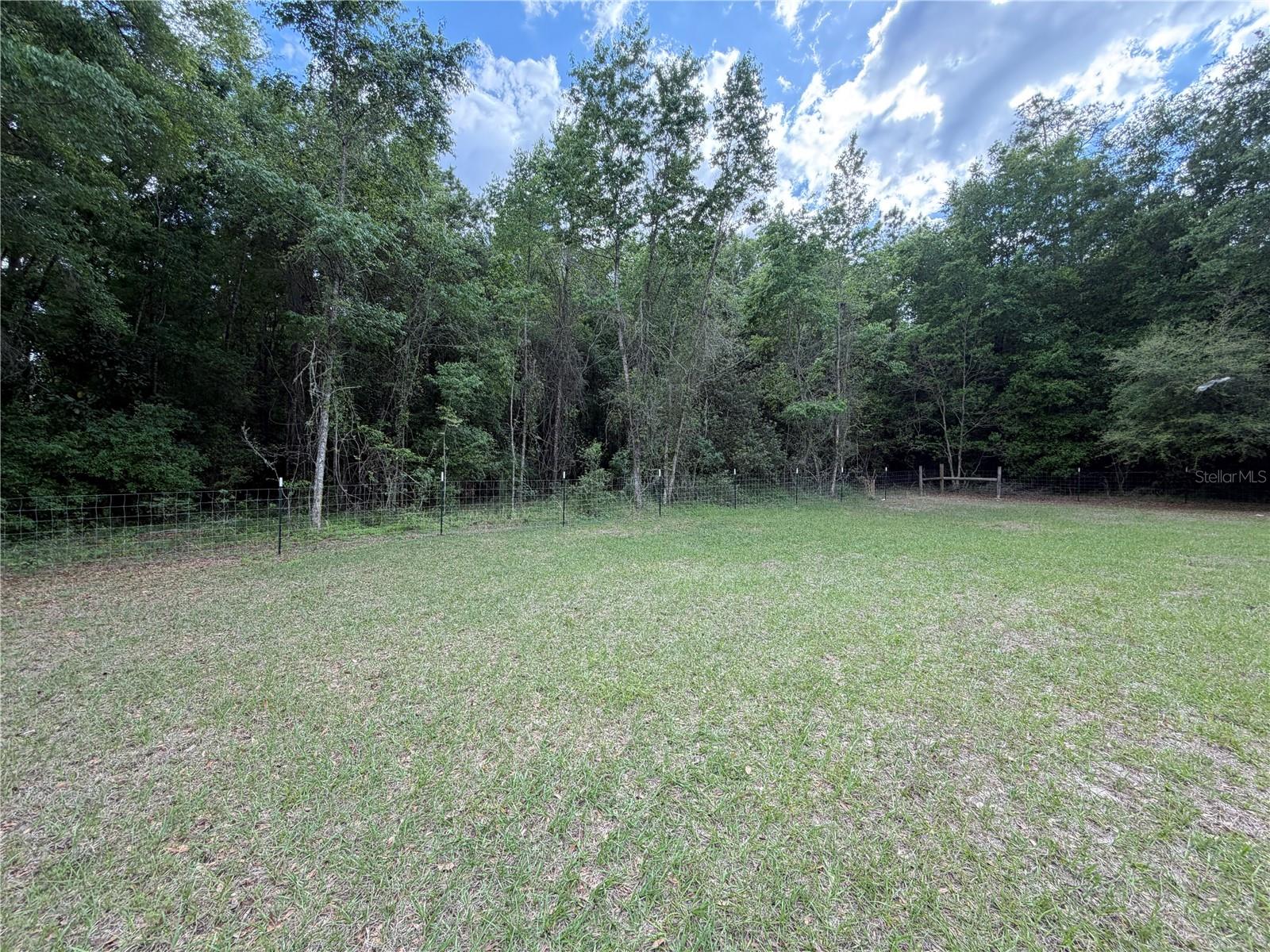 Image 18 of 32 For 683 Court Street