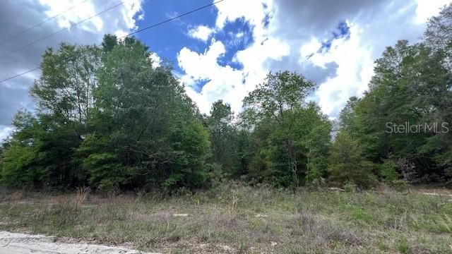 Image 3 of 6 For 3320 157th Terrace