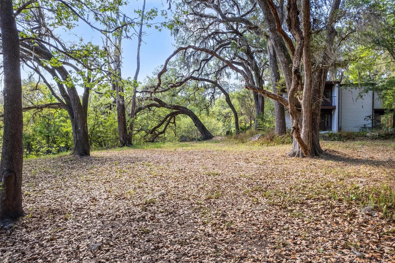 Image 77 of 93 For 6424 26th Pl