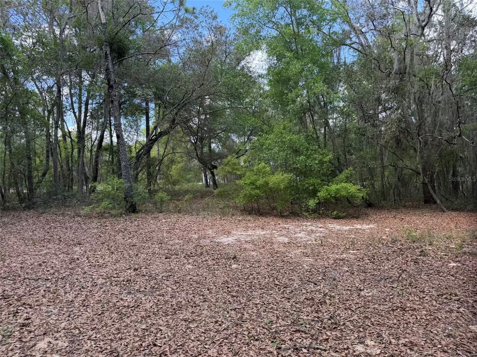 Image 11 of 17 For 105 Race Street