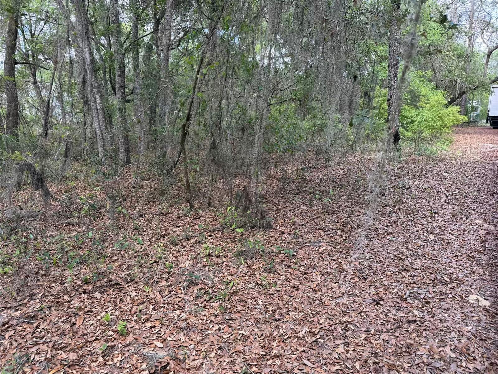 Image 12 of 17 For 105 Race Street