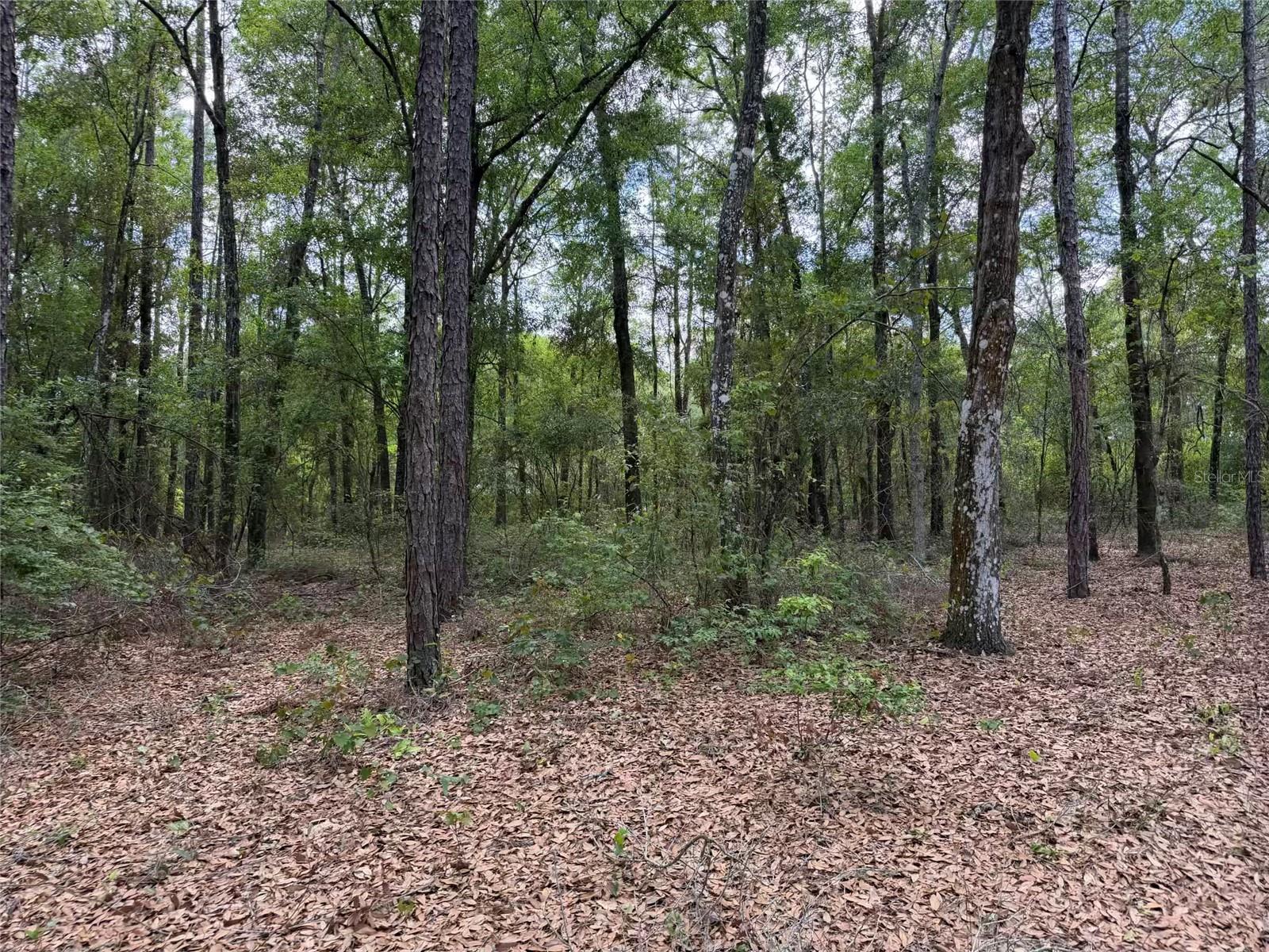 Image 13 of 17 For 105 Race Street