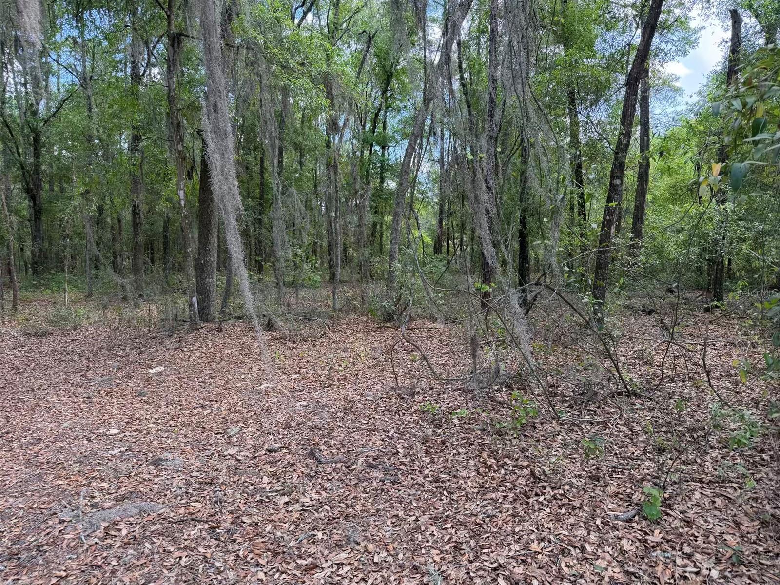 Image 14 of 17 For 105 Race Street