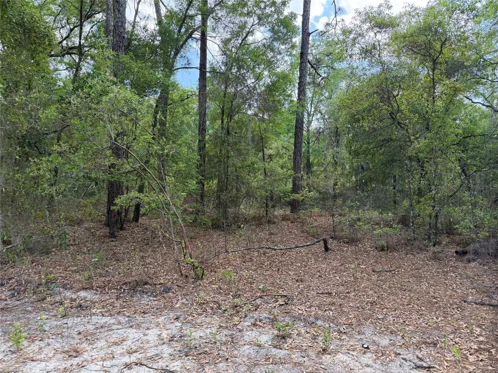 Image 15 of 17 For 105 Race Street