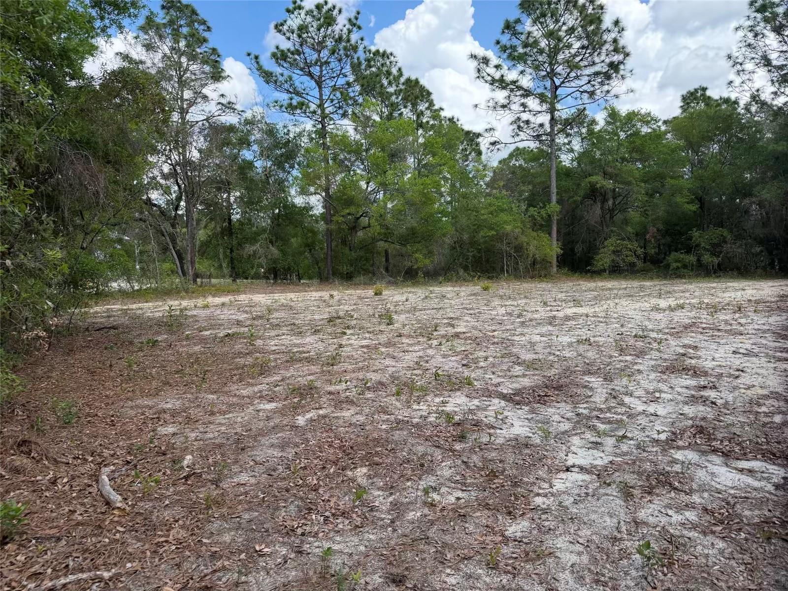 Image 16 of 17 For 105 Race Street