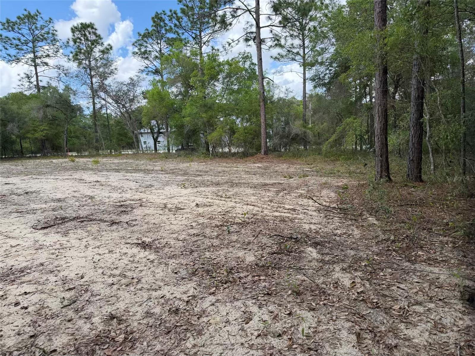 Image 3 of 17 For 105 Race Street