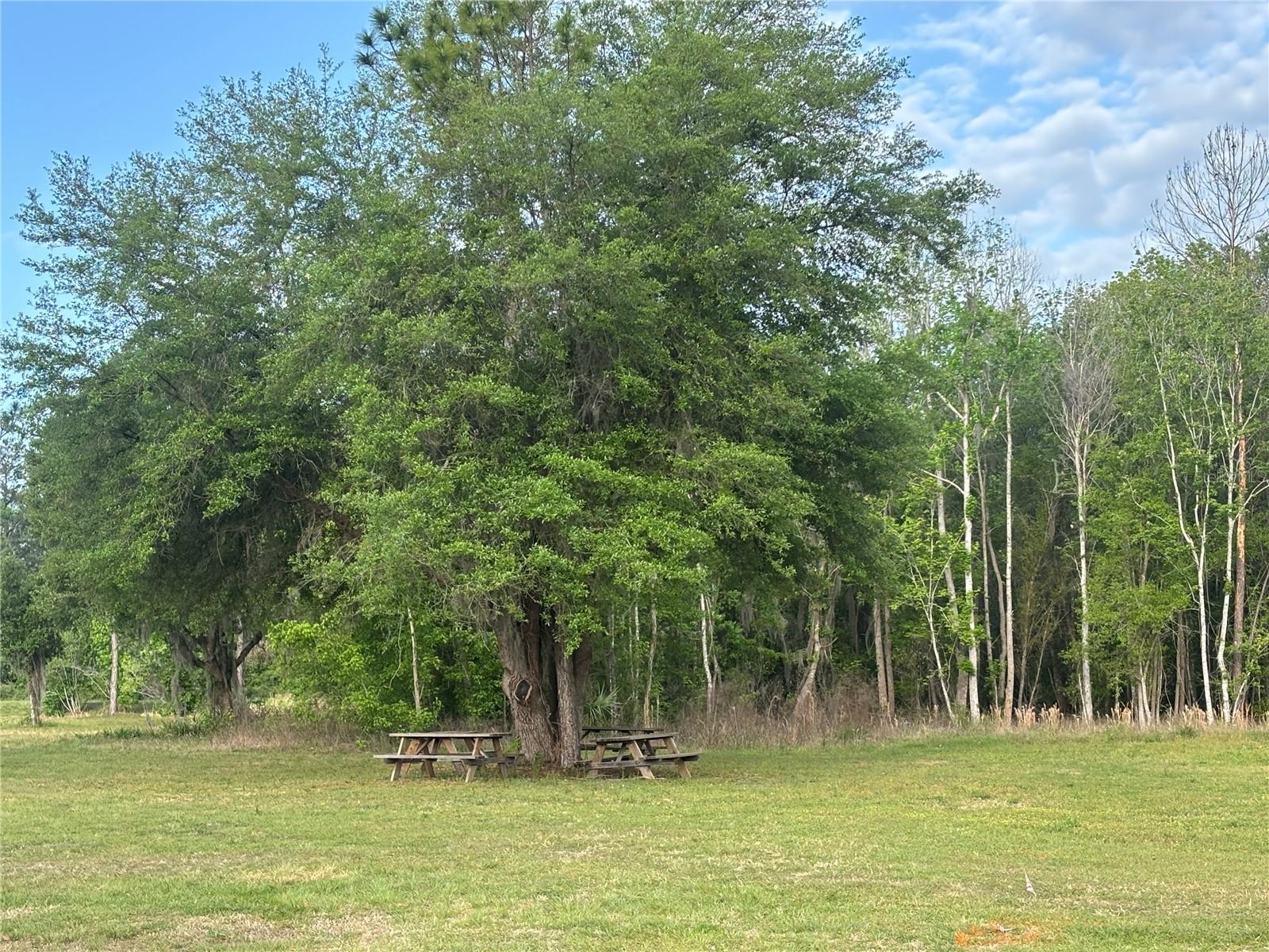 Details for Se Hawthorne Road, HAWTHORNE, FL 32640