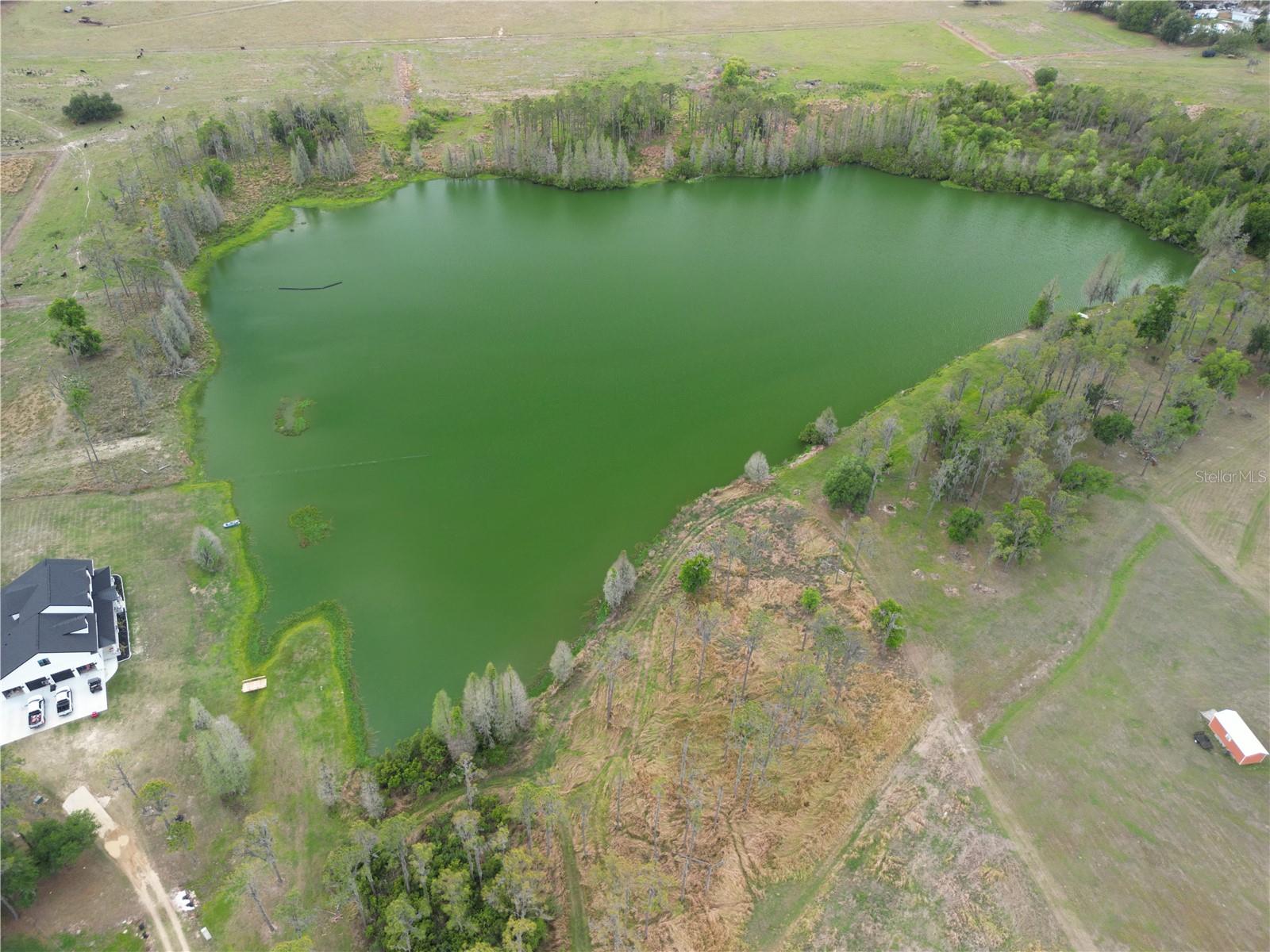 Image 8 of 12 For Tbd Timbers Drive