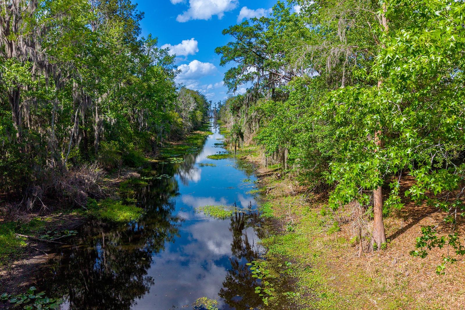 Image 24 of 28 For 6308 Island Road