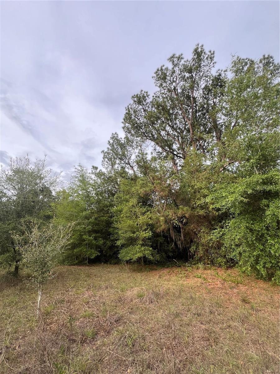 Image 3 of 4 For  Avenue G  