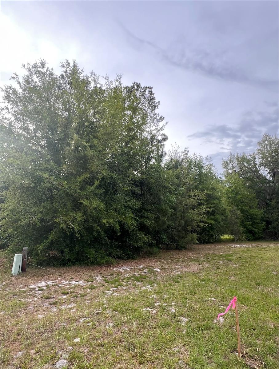 Image 4 of 4 For  Avenue G  