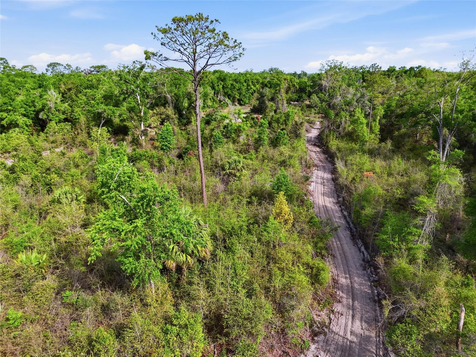 Image 24 of 28 For 3450 110th Street