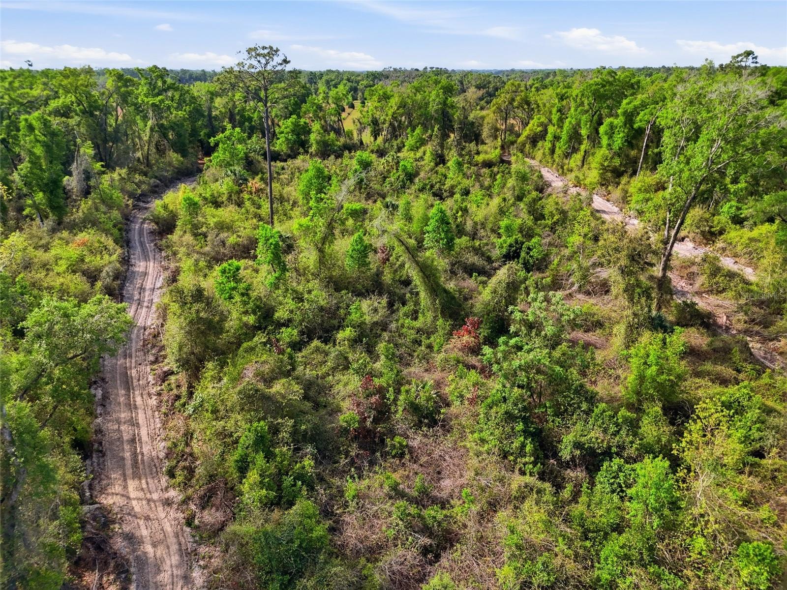 Image 26 of 28 For 3450 110th Street