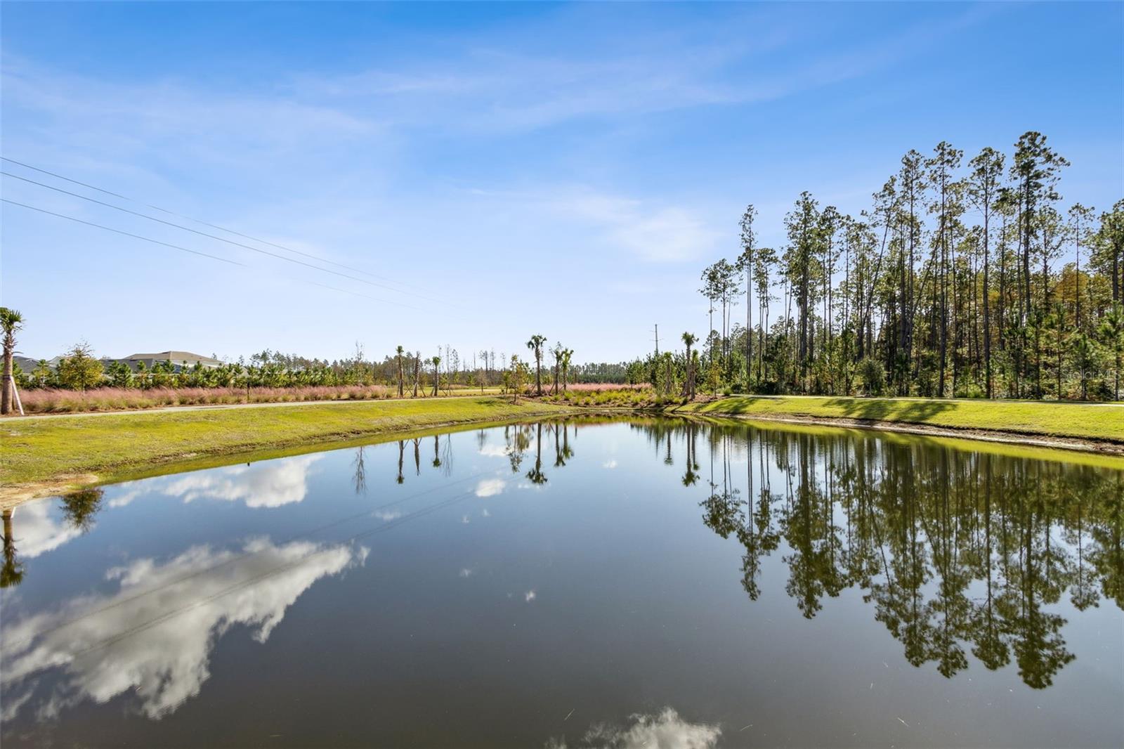 Listing photo id 37 for 250 Daydream Avenue