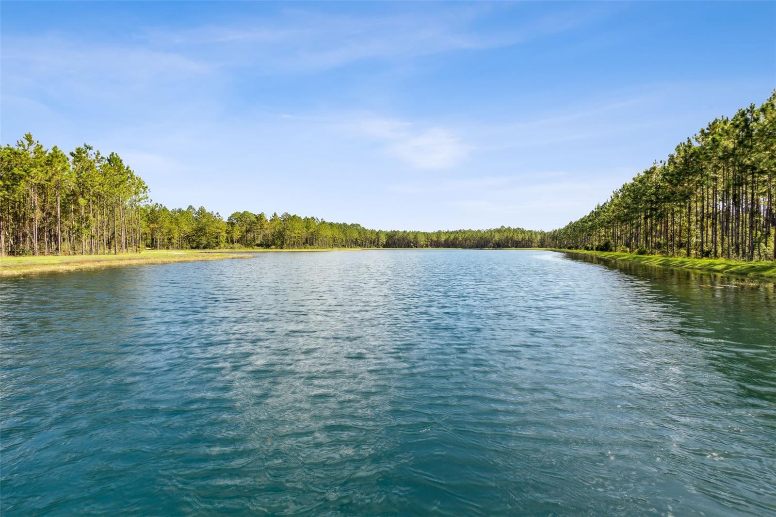 Listing photo id 51 for 250 Daydream Avenue