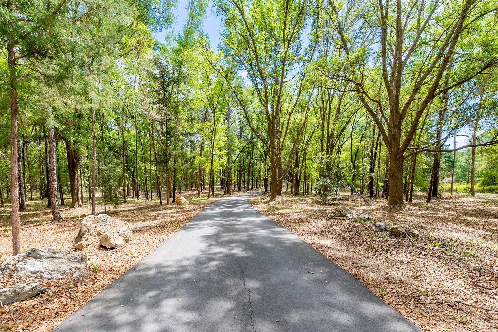 Image 3 of 50 For 456 Bradenton Way