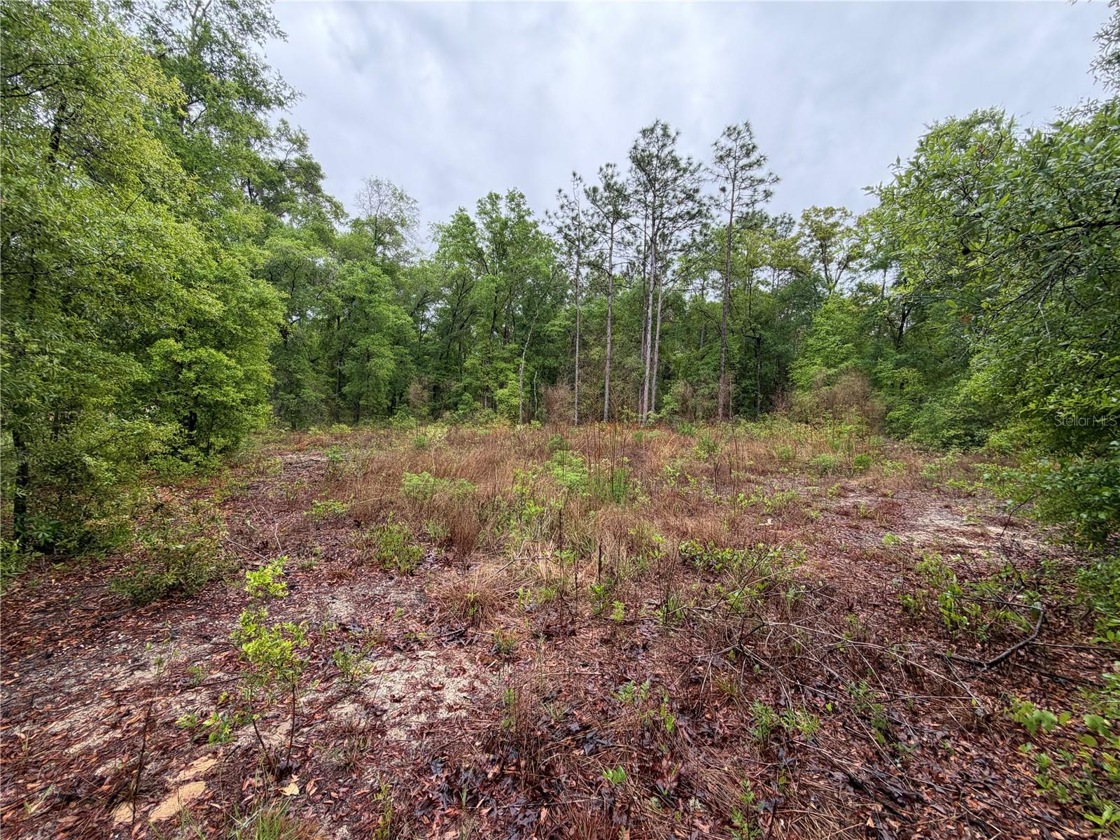 Details for 301 Rainbow Drive, HAWTHORNE, FL 32640