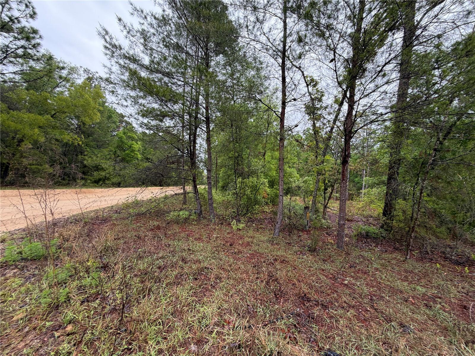 Image 10 of 10 For 301 Rainbow Drive