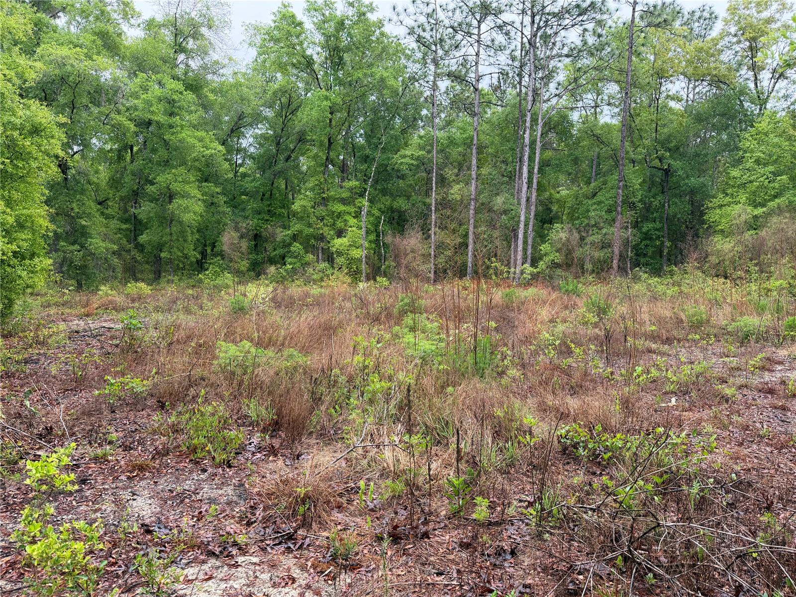 Image 2 of 10 For 301 Rainbow Drive