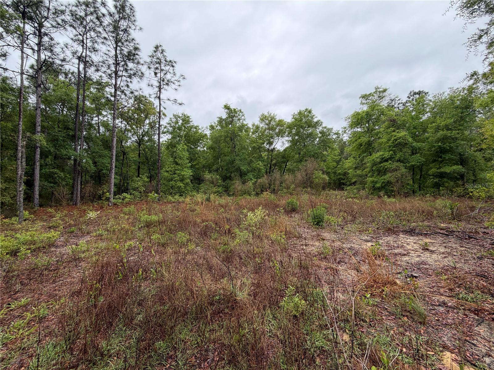 Image 3 of 10 For 301 Rainbow Drive