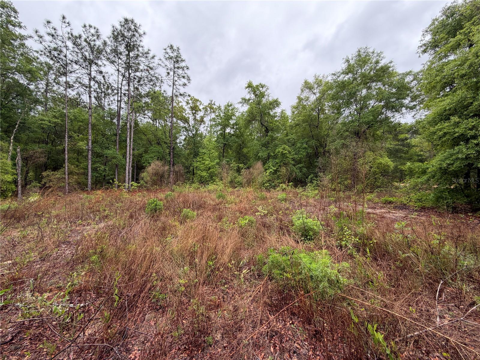 Image 4 of 10 For 301 Rainbow Drive