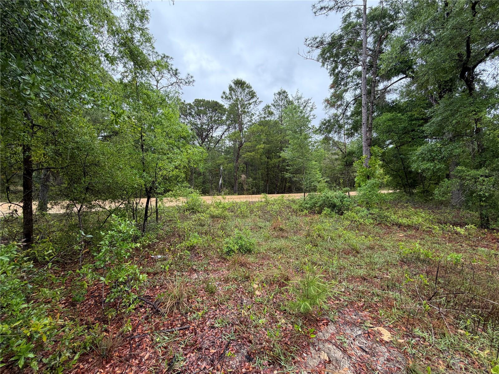 Image 5 of 10 For 301 Rainbow Drive