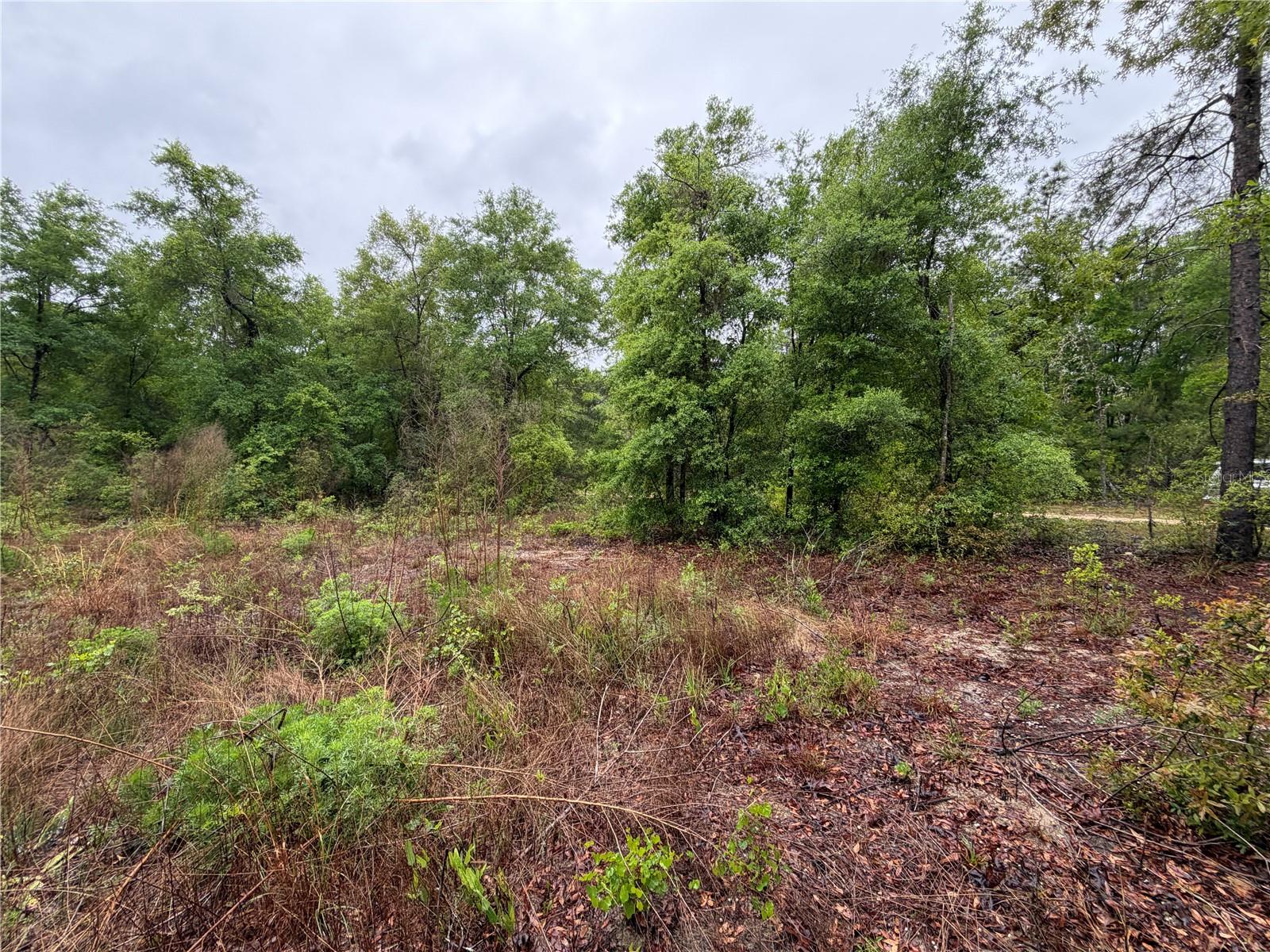 Image 6 of 10 For 301 Rainbow Drive